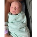 Mint Cotton Thermal Receiving Blanket